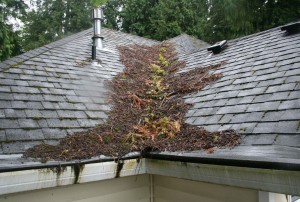 roof-maintenance1