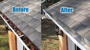 gutter-cleaning-tampa